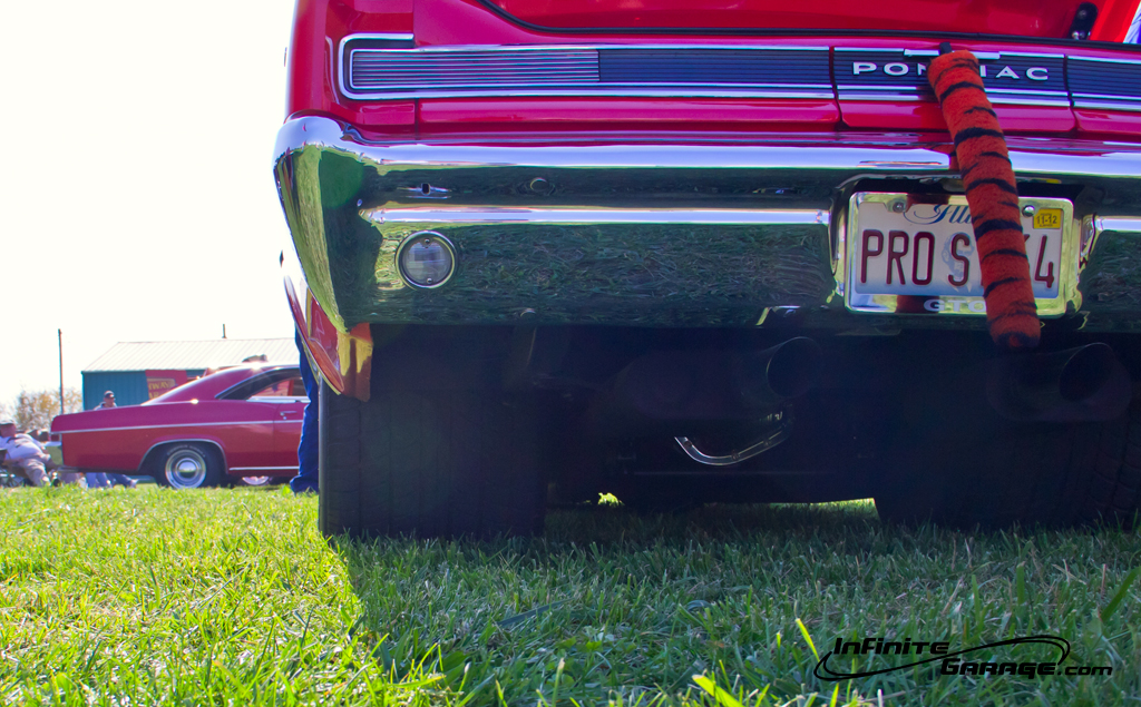 tiger-tail-and-fat-slicks